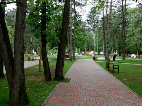 construcție parc Ungheni