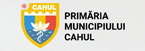 primăria cahul